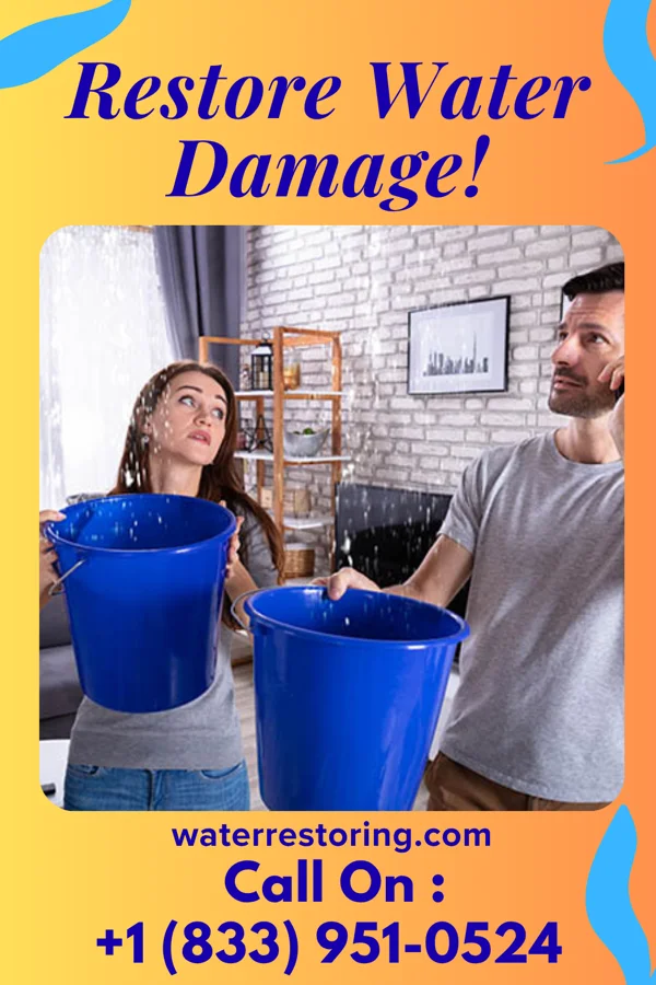 water restoration Capital Damage Recovery Co Woodsburgh