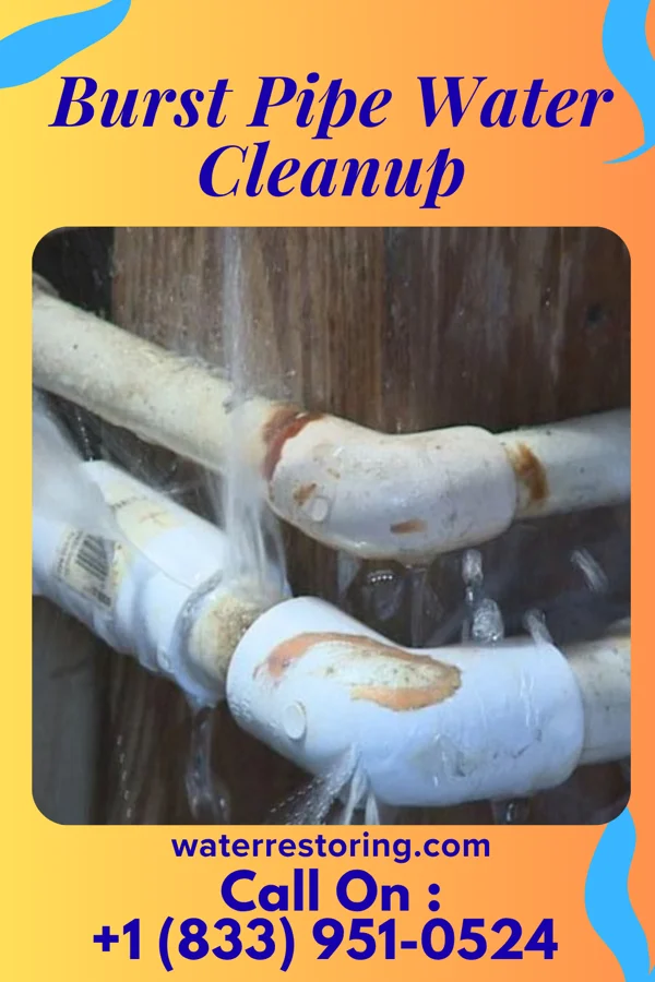 Burst Pipe Water Cleanup in Woodsburgh, NY