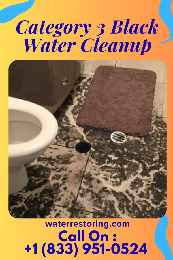 Category 3 Black Water Cleanup in Woodsburgh, NY