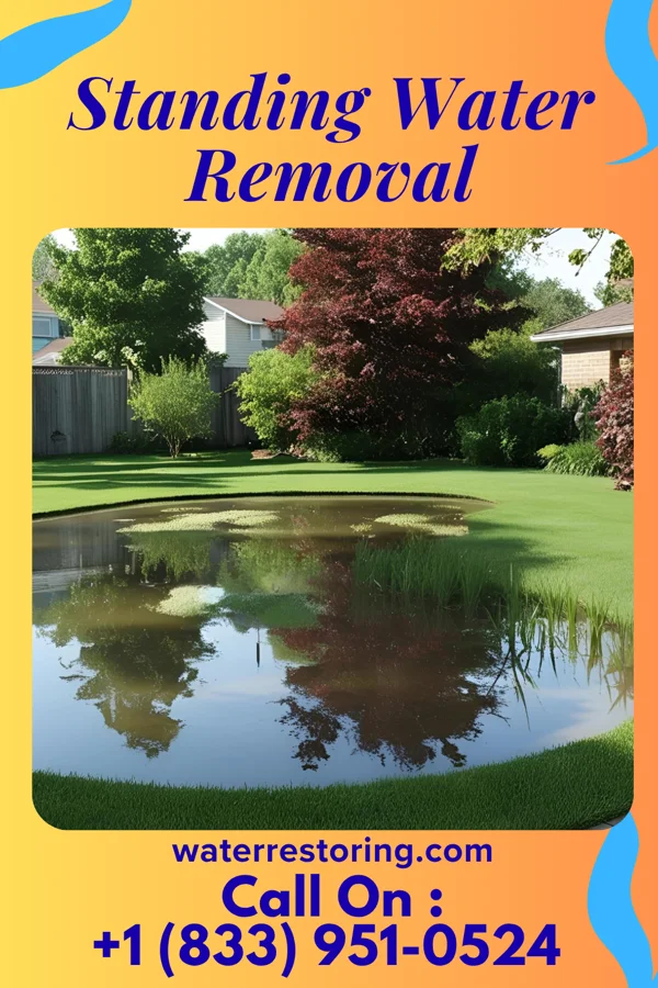 Standing Water Removal in Woodsburgh, NY